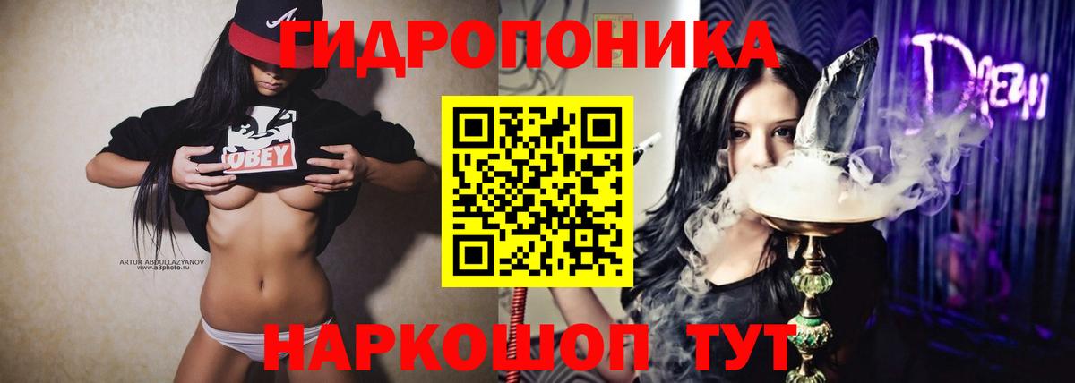 Бошки марихуана Bruce Banner  Вход с VPN  Россошь  Канабис марихуана  Конопля семена 